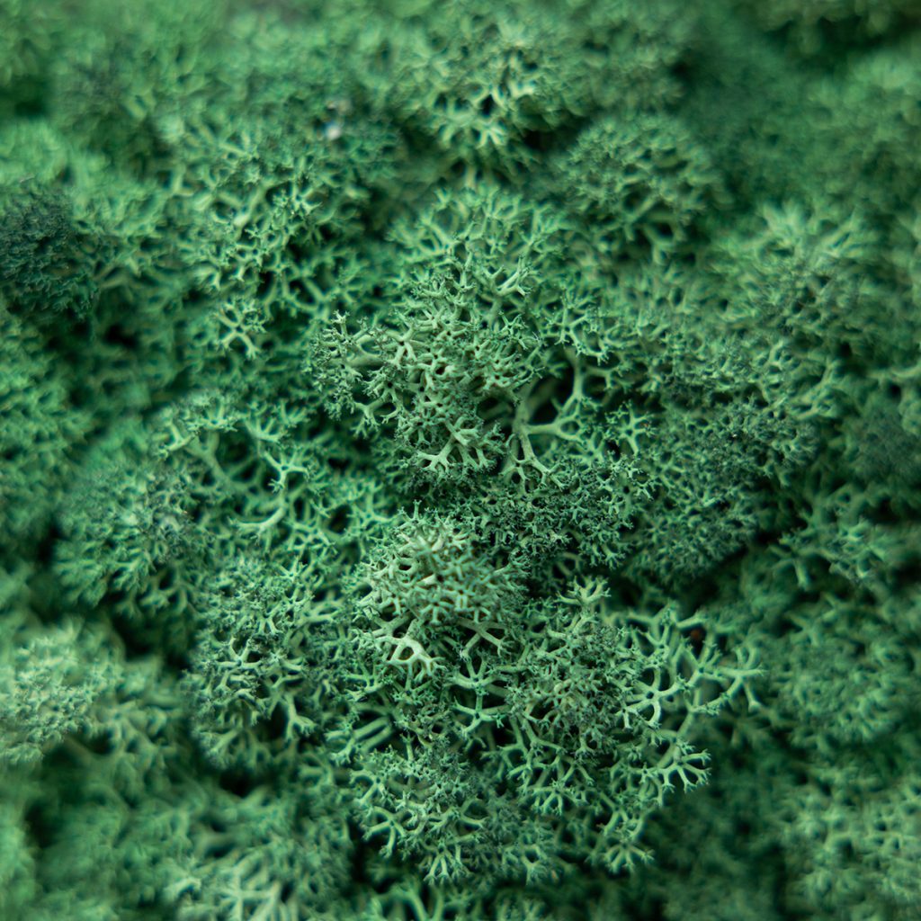 Image 2 de 4 dans la galerie Panneau de Mousse