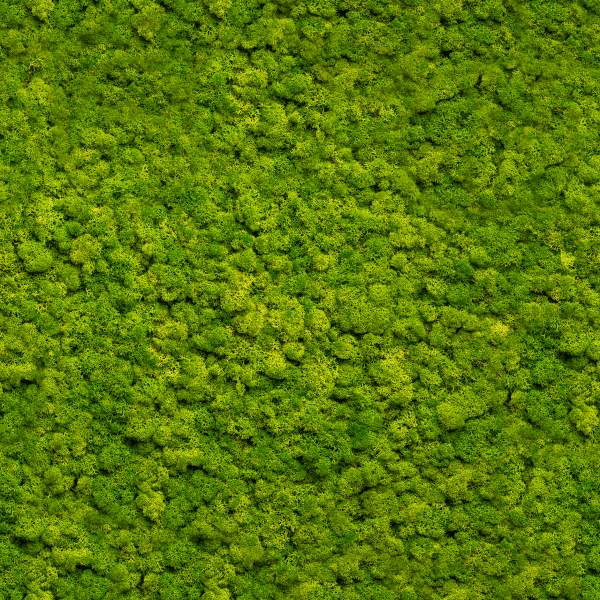 Apple Green | Moss panel - Kleurstaal