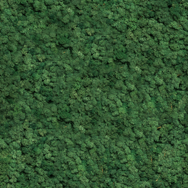 Moss Green | Moss panel - Kleurstaal