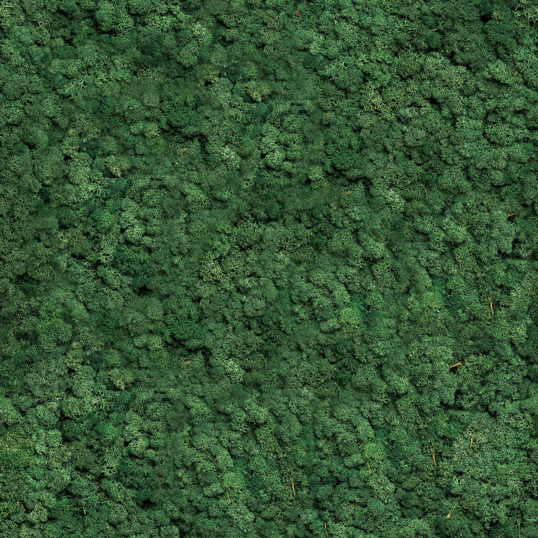 Moss-Green-pattern-infinity