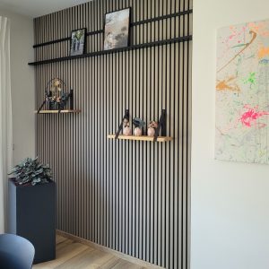 Akupanel productafbeelding - bekijk 20