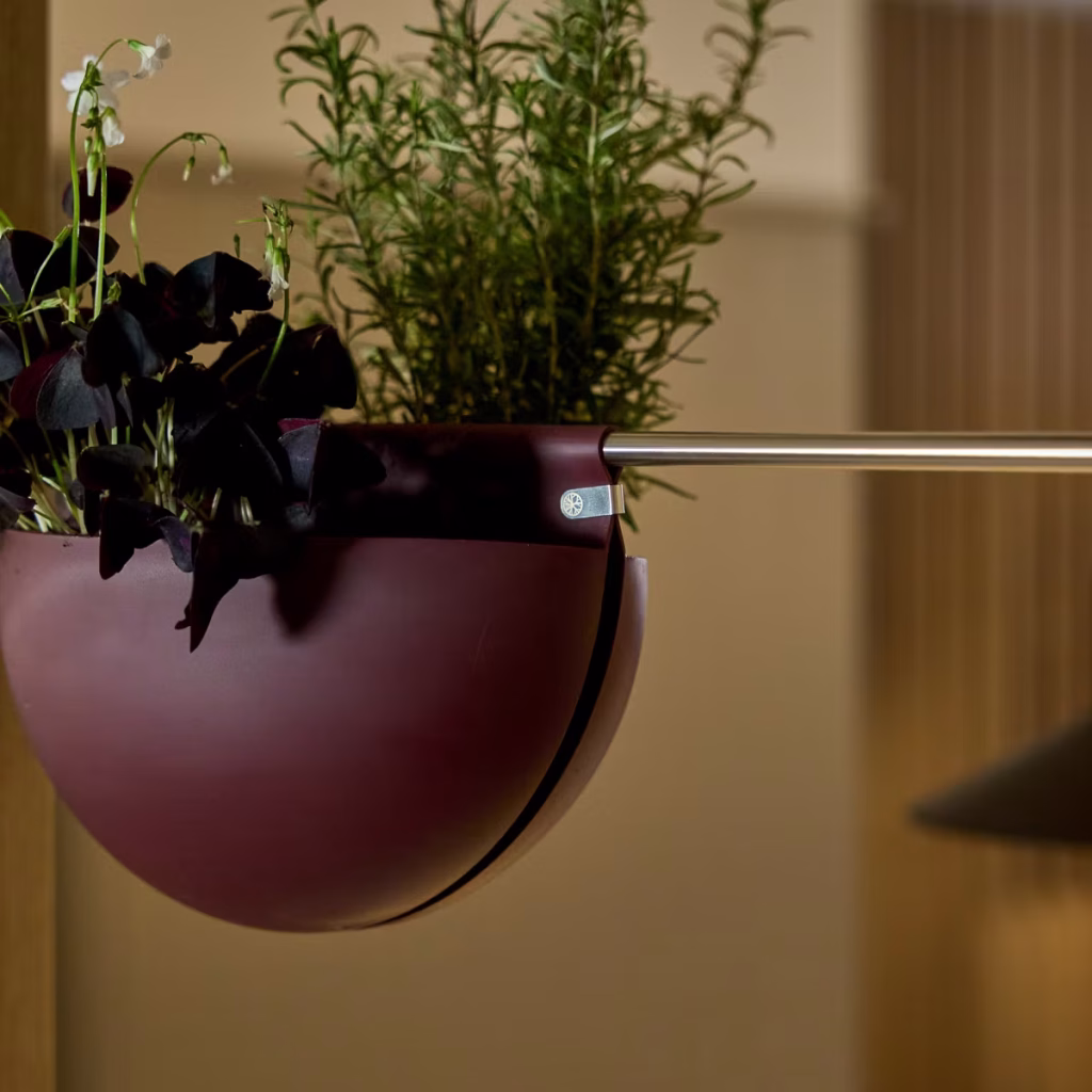 Image 1 de 9 dans la galerie EMBRACE | Gro Soft Pocket (4l) | FR