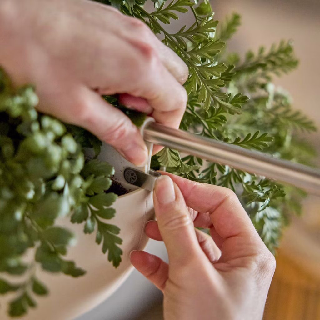 Image 4 de 11 dans la galerie EMBRACE | Gro Soft Pocket (4l) | FR